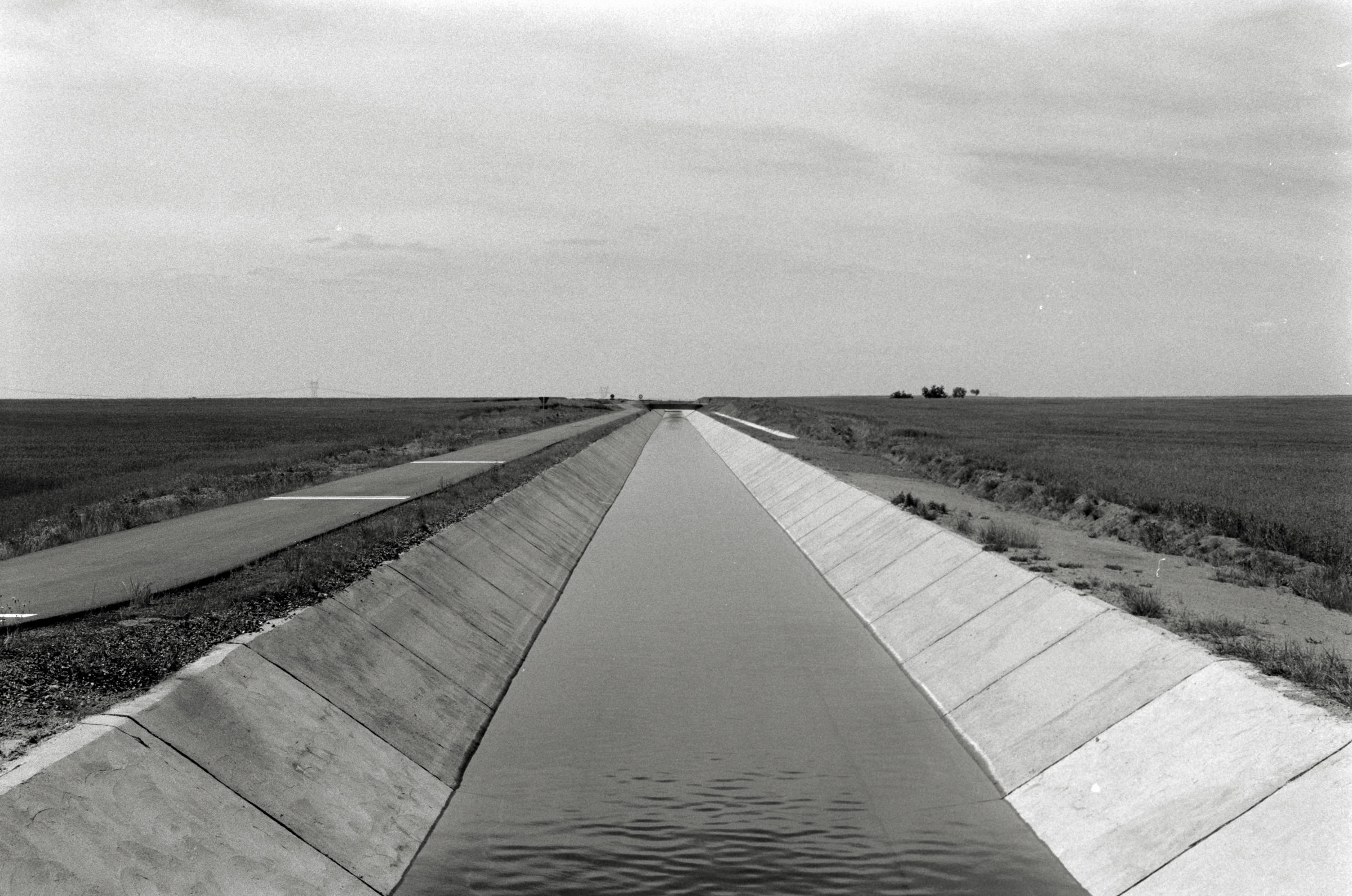 AHP F1995 05 009 sc240826 img26 NLP